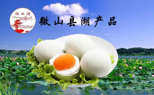 微山湖經(jīng)貿(mào)——一樣的海洋，不一樣的集結(jié)號