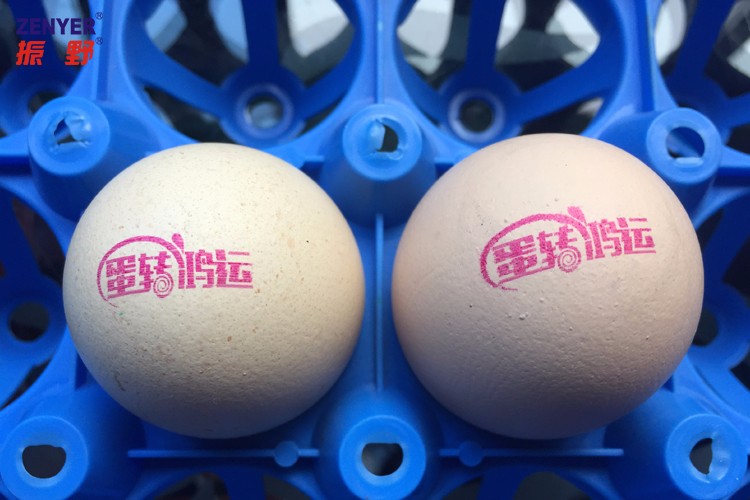 【振野產(chǎn)品推薦】高解析整盤(pán)蛋品噴碼機(jī)