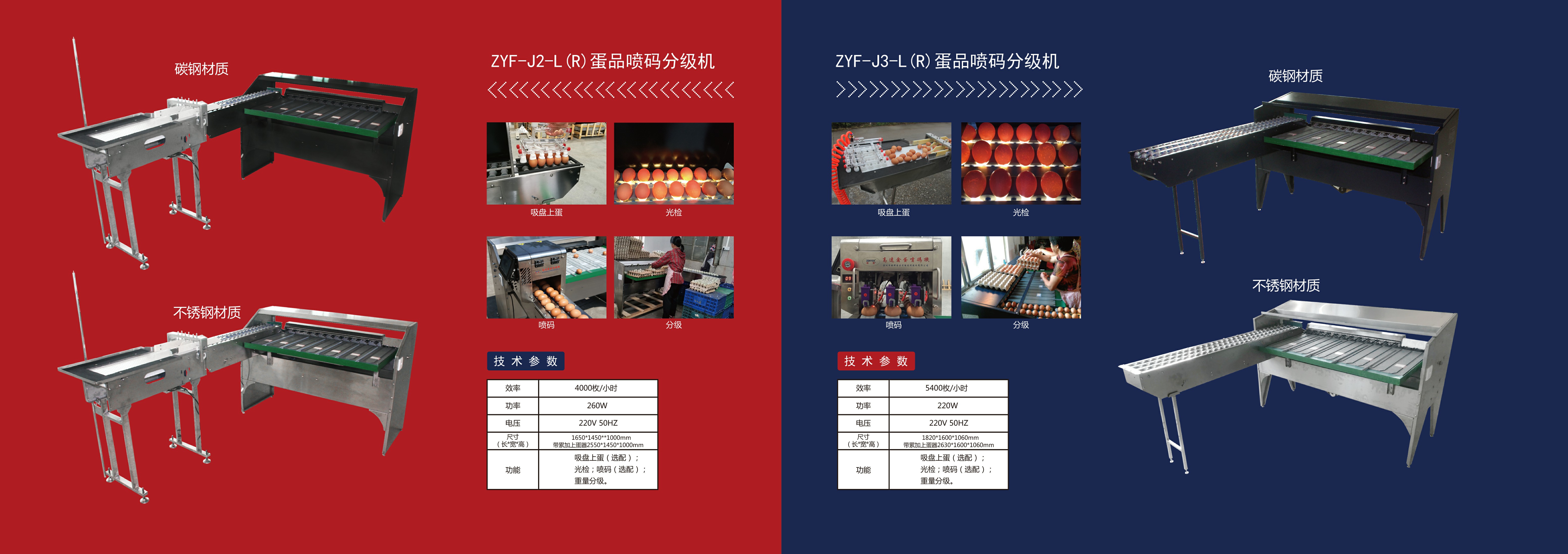雞蛋畫冊(cè)重置版-5.jpg