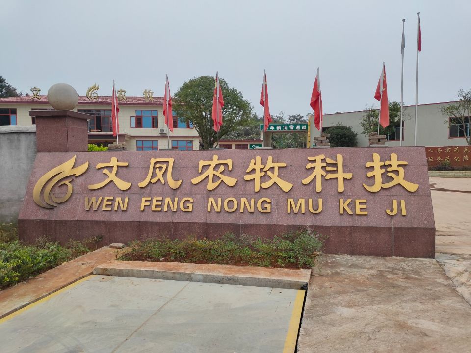振野潔蛋生產(chǎn)線(xiàn)之雙峰文鳳使用現(xiàn)場(chǎng)