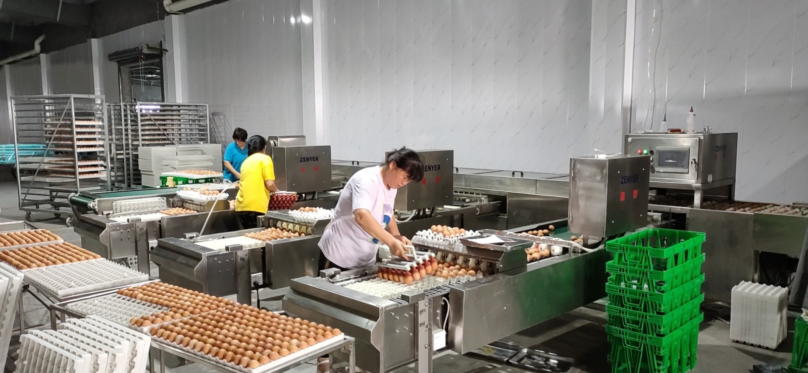 青島寶祺種蛋消毒清洗分級(jí)收集生產(chǎn)線(xiàn)應(yīng)用現(xiàn)場(chǎng)！